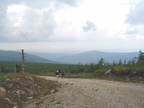 Widok z Sinych Ska�ek