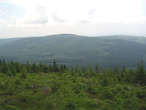 Widdok ze Zwaliska na Grzbiet Kamienicki