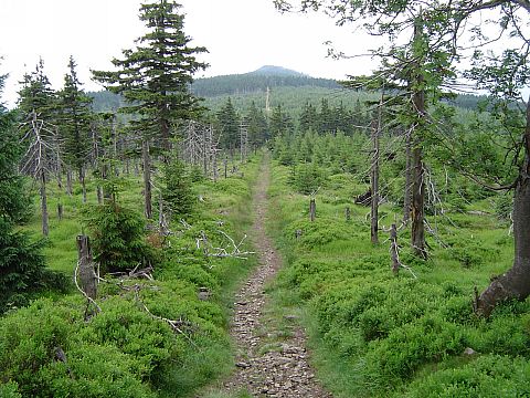 Ze Zwaliska na Wysoki Kamie�