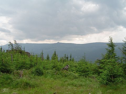 Wysoki Kamie� - widok na Szrenic�