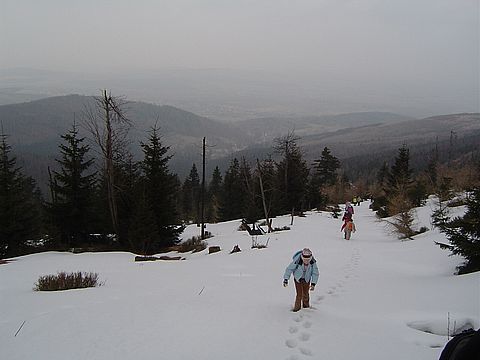 Rajd w Góry Izerskie - Świeradów Zdrój - Stóg Izerski - Sępia Góra s20 - PTTK Strzelin