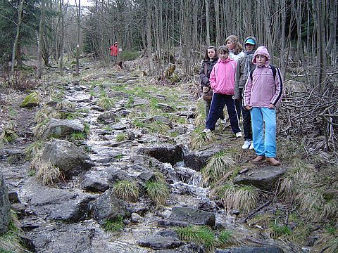 Rajd w Góry Izerskie - Świeradów Zdrój - Stóg Izerski - Sępia Góra s36 - PTTK Strzelin
