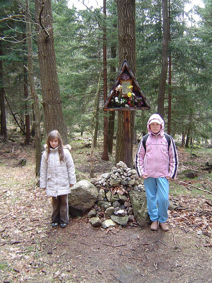 Rajd w Góry Izerskie - Świeradów Zdrój - Stóg Izerski - Sępia Góra s002 - PTTK Strzelin