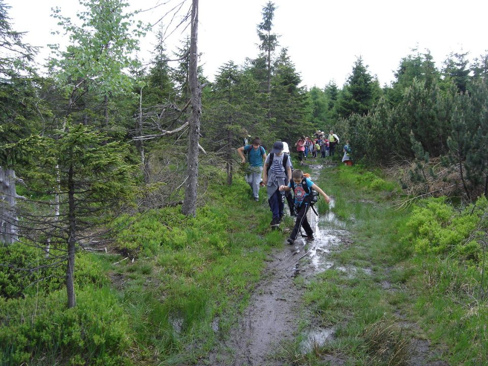 Wycieczka w Góry Izerskie s002 - PTTK Strzelin