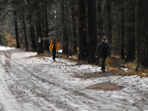 Wycieczka w Góry Izerskie s7 - PTTK Strzelin