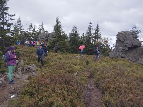 Wycieczka w Góry Izerskie s30 - PTTK Strzelin
