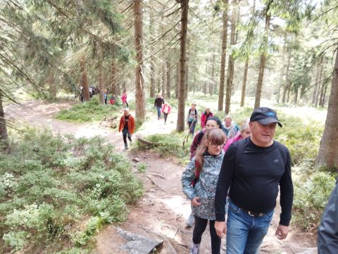 Wycieczka w Góry Izerskie s37 - PTTK Strzelin