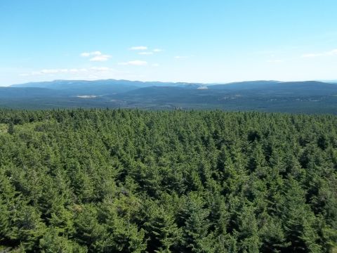 Wycieczka w Góry Izerskie s9 - PTTK Strzelin