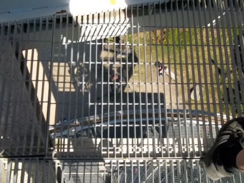 Wycieczka w Góry Izerskie s14 - PTTK Strzelin