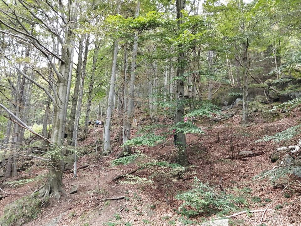 Wycieczka Hrubý Jeseník s002 - PTTK Strzelin