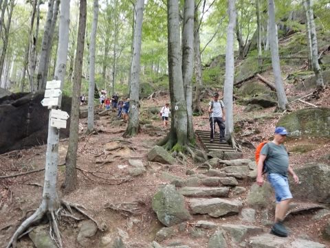 Wycieczka Jizerské hory s133 - PTTK Strzelin