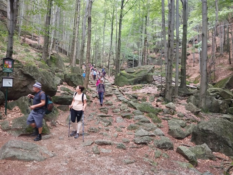 Wycieczka Hrubý Jeseník s002 - PTTK Strzelin