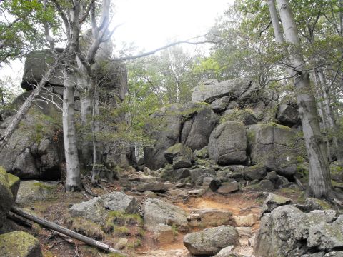Ořešník s2 - PTTK Strzelin