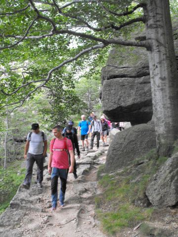 Ořešník s5 - PTTK Strzelin