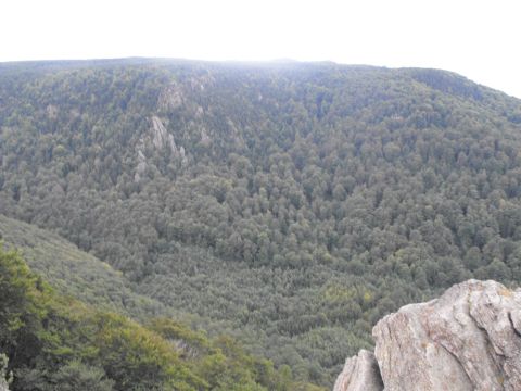 Ořešník s21 - PTTK Strzelin