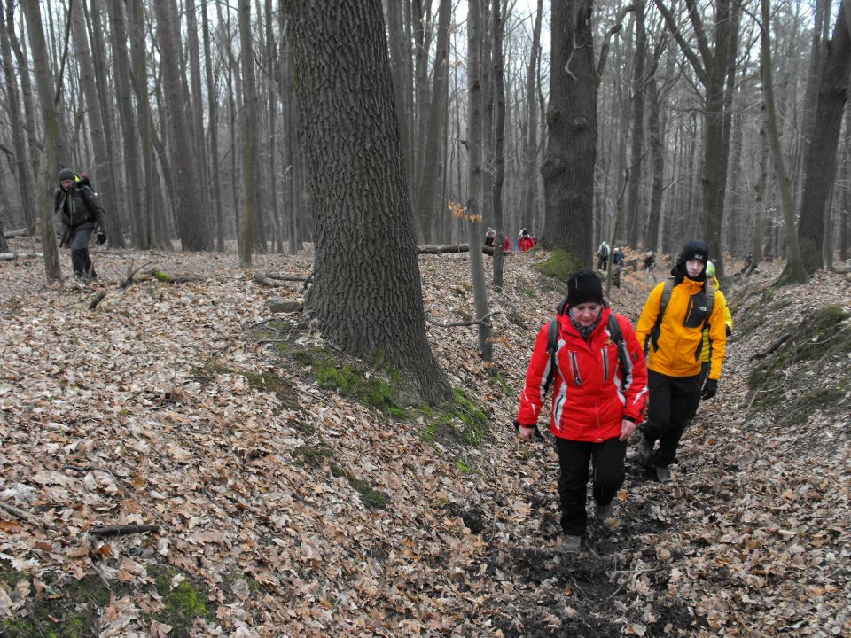 Wycieczka po Pogórzu Kaczawskim s003 - PTTK Strzelin