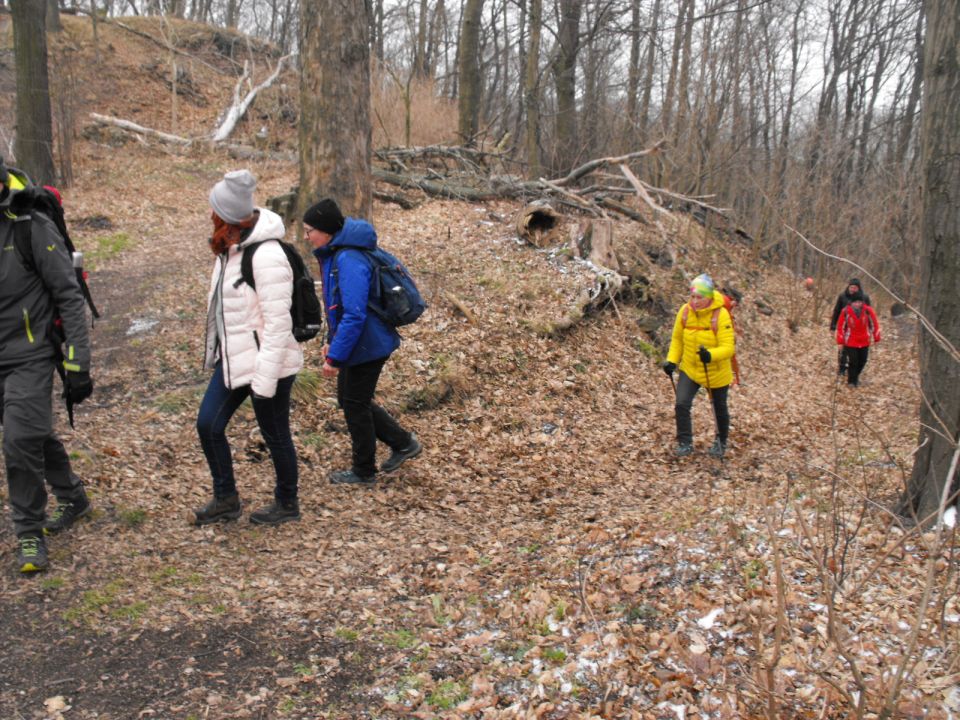 Wycieczka po Pogórzu Kaczawskim s003 - PTTK Strzelin