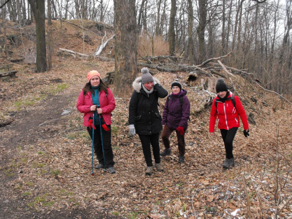 Wycieczka po Pogórzu Kaczawskim s003 - PTTK Strzelin