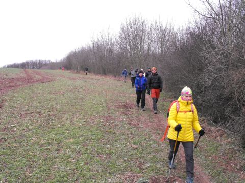 Wycieczka po Pogórzu Kaczawskim s55 - PTTK Strzelin