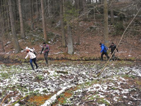 Wycieczka po Pogórzu Kaczawskim s56 - PTTK Strzelin