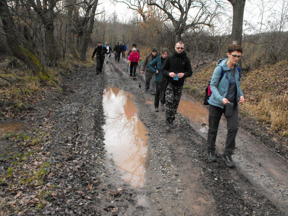 Wycieczka po Pogórzu Kaczawskim s003 - PTTK Strzelin