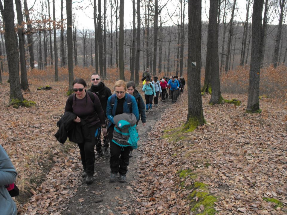 Wycieczka po Pogórzu Kaczawskim s003 - PTTK Strzelin