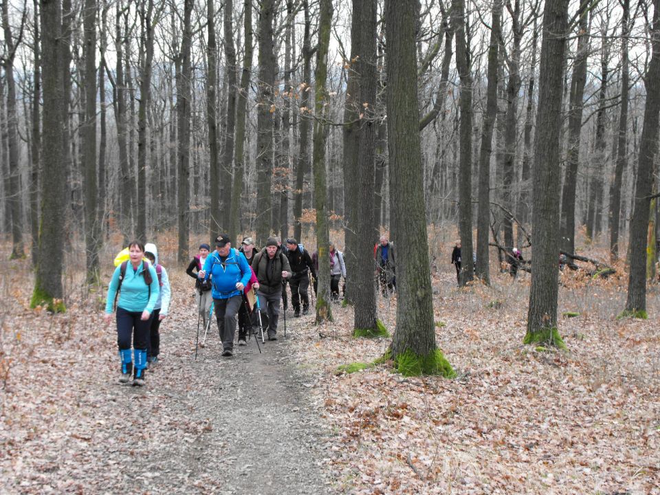 Wycieczka po Pogórzu Kaczawskim s003 - PTTK Strzelin
