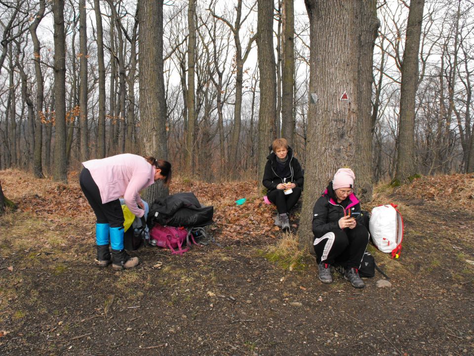 Wycieczka po Pogórzu Kaczawskim s003 - PTTK Strzelin