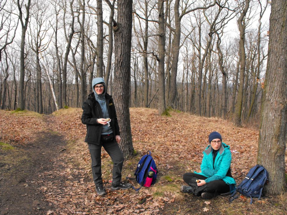 Wycieczka po Pogórzu Kaczawskim s003 - PTTK Strzelin