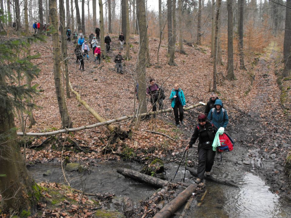 Wycieczka po Pogórzu Kaczawskim s003 - PTTK Strzelin