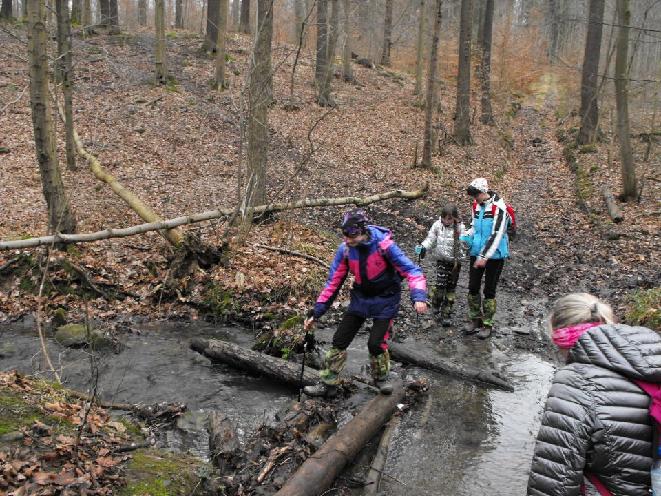 Wycieczka po Pogórzu Kaczawskim s003 - PTTK Strzelin
