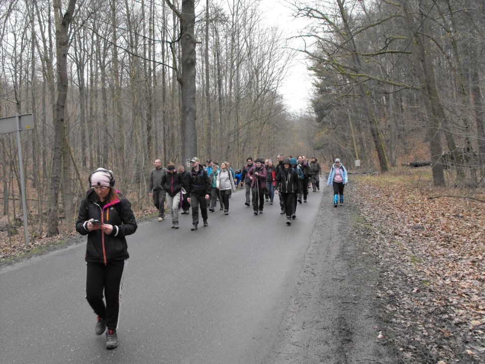 Wycieczka po Pogórzu Kaczawskim s003 - PTTK Strzelin