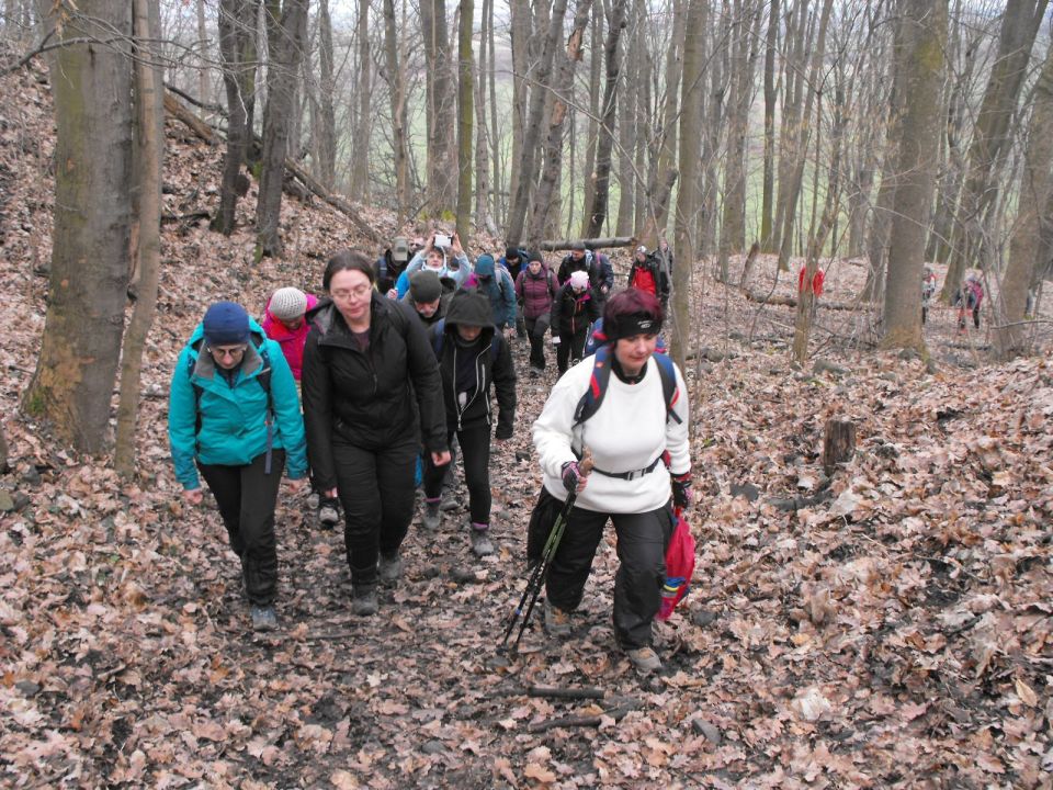 Wycieczka po Pogórzu Kaczawskim s003 - PTTK Strzelin