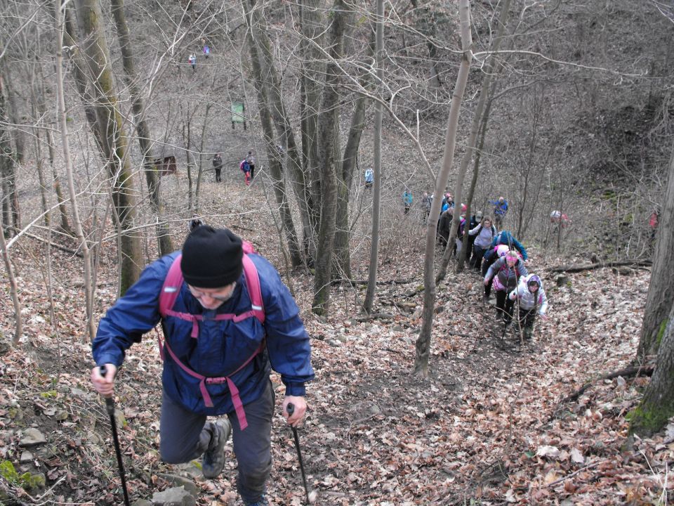 Wycieczka po Pogórzu Kaczawskim s003 - PTTK Strzelin