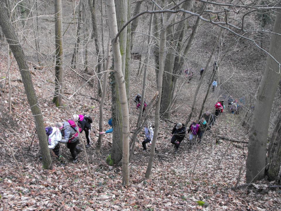 Wycieczka po Pogórzu Kaczawskim s003 - PTTK Strzelin