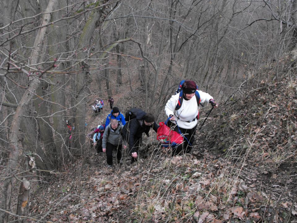 Wycieczka po Pogórzu Kaczawskim s003 - PTTK Strzelin