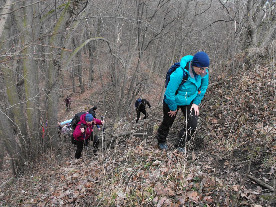 Wycieczka po Pogórzu Kaczawskim s003 - PTTK Strzelin