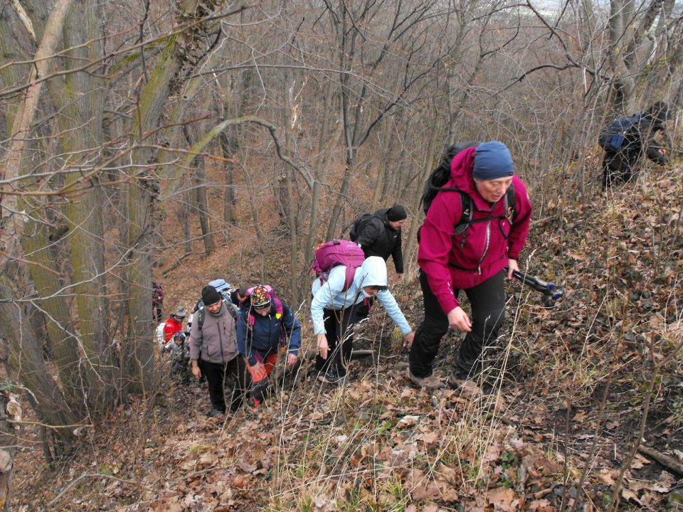 Wycieczka po Pogórzu Kaczawskim s003 - PTTK Strzelin