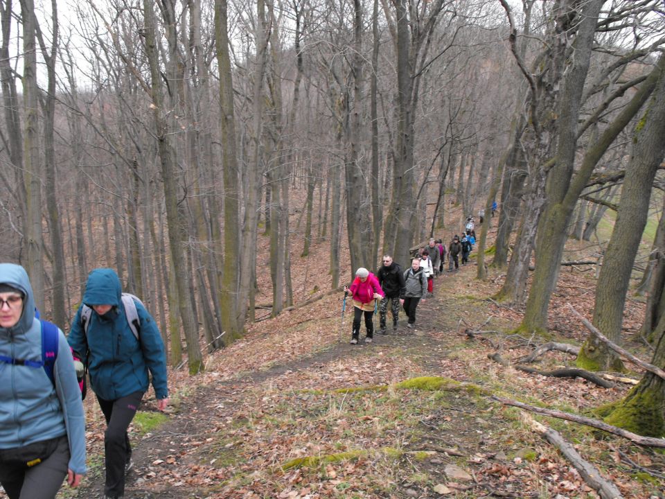 Wycieczka po Pogórzu Kaczawskim s003 - PTTK Strzelin