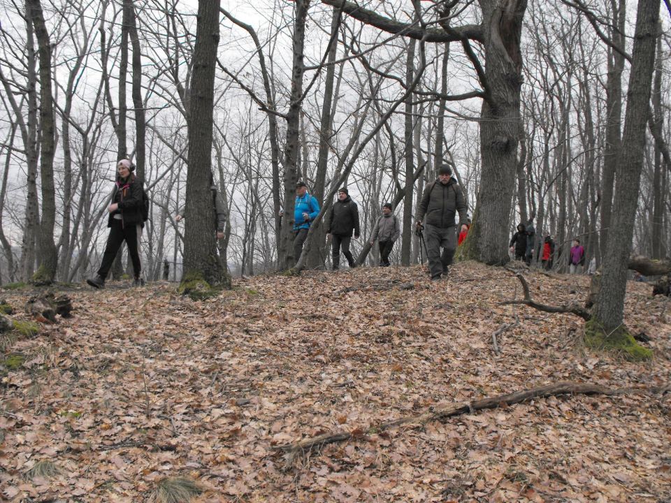Wycieczka po Pogórzu Kaczawskim s003 - PTTK Strzelin