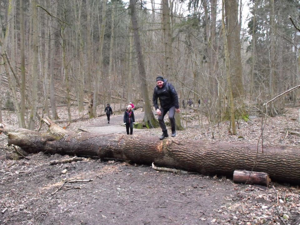 Wycieczka po Pogórzu Kaczawskim s003 - PTTK Strzelin