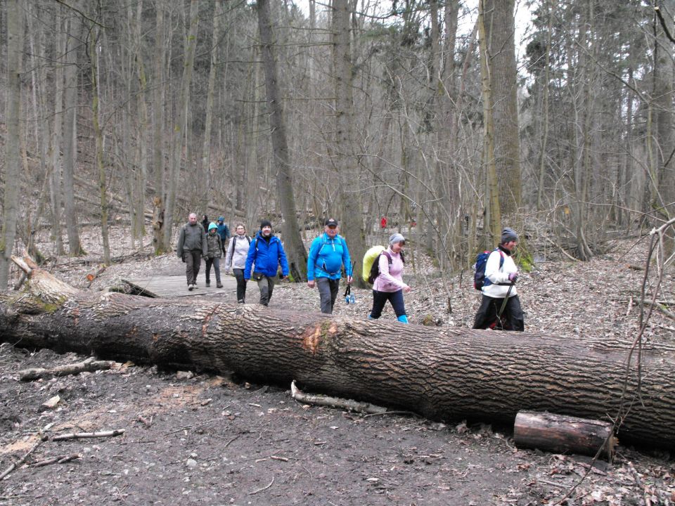 Wycieczka po Pogórzu Kaczawskim s003 - PTTK Strzelin