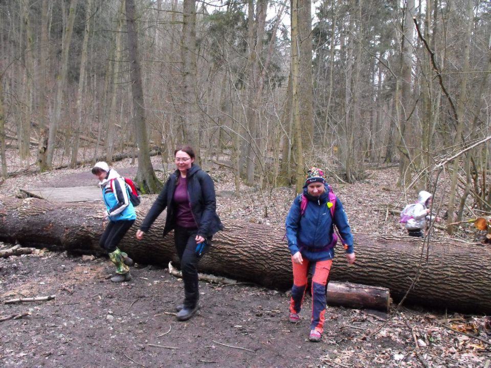 Wycieczka po Pogórzu Kaczawskim s003 - PTTK Strzelin