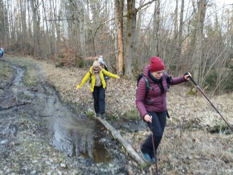 Wycieczka w Góry Kaczawskie s123 - PTTK Strzelin