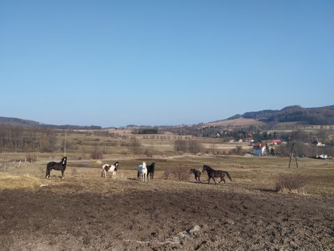 Wycieczka w Góry Kaczawskie m101 - PTTK Strzelin