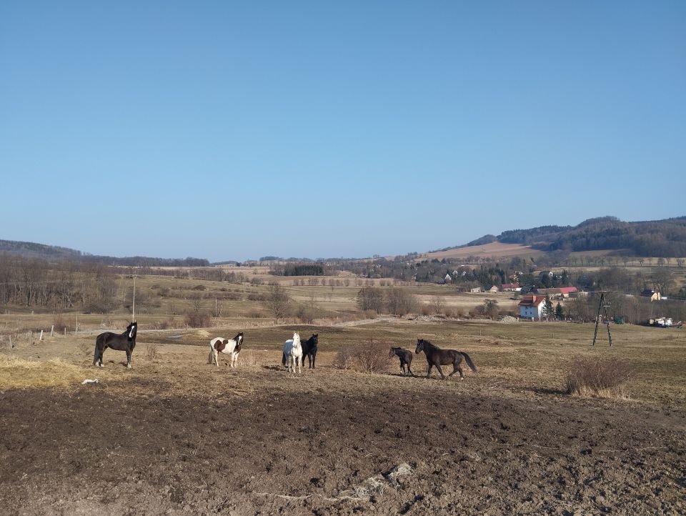 Wycieczka w Góry Kaczawskie dz101 - PTTK Strzelin