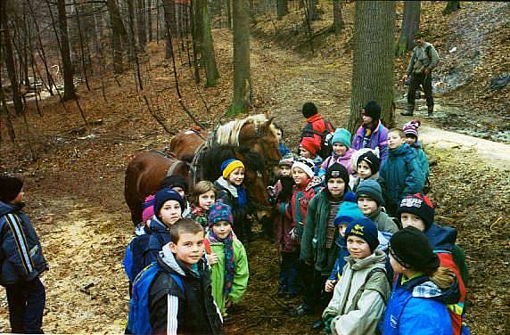 Pod Wawrzyniakiem - G�ry Kamienne