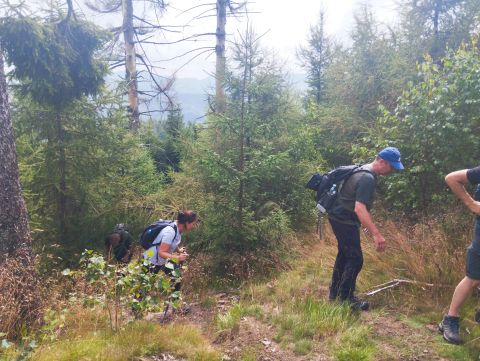 Wycieczka w Góry Kamienne s19 - PTTK Strzelin