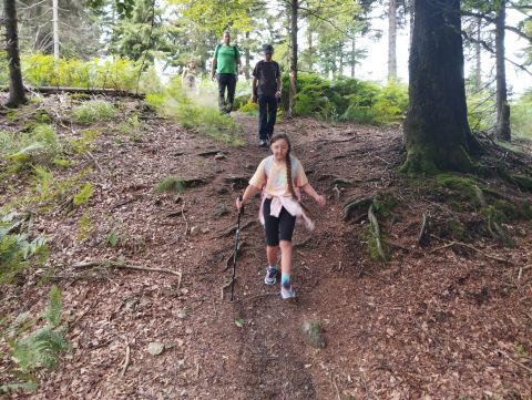 Wycieczka w Góry Kamienne s40 - PTTK Strzelin