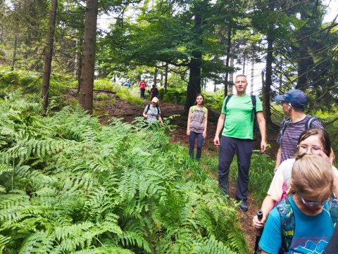 Wycieczka w Góry Kamienne s41 - PTTK Strzelin